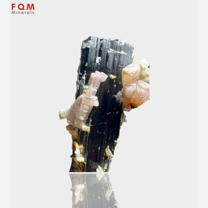 Rare Apatite with Schorl - Image 4