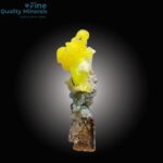 Brucite