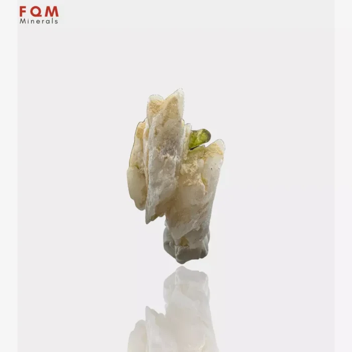 Elegant Tourmaline Resting on Feldspar - Image 2