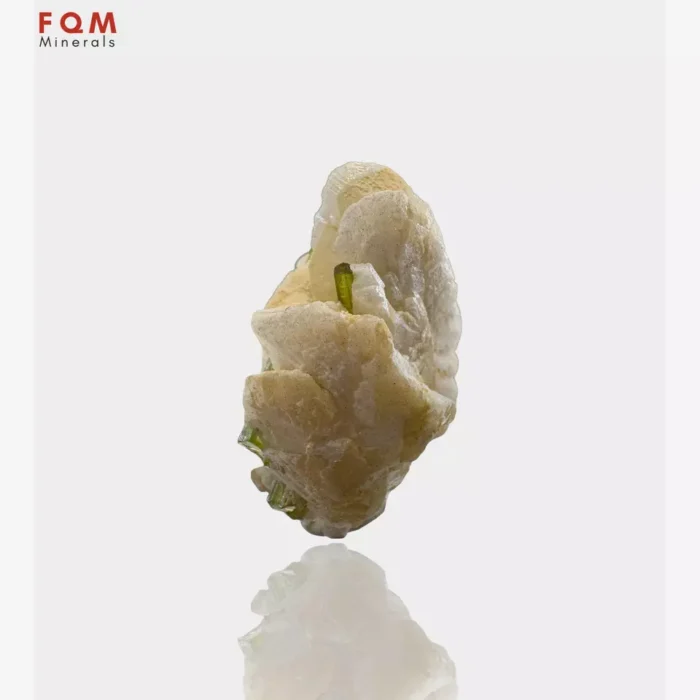 Elegant Tourmaline Resting on Feldspar - Image 3