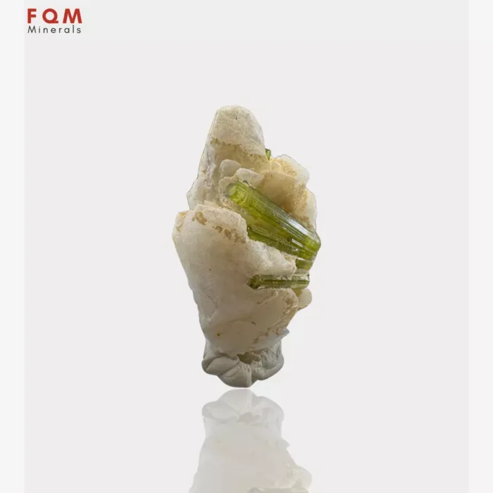 Elegant Tourmaline Resting on Feldspar - Image 4