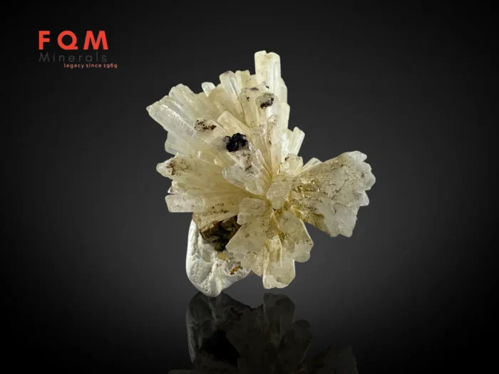 Rare aragonite cluster on matrix from Skardu, Pakistan - Image 5
