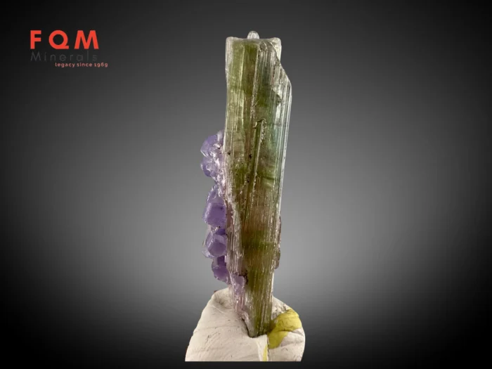 Rare Purple Apatite with Bi-Colour Tourmaline – Afghanistan - Image 4