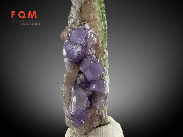 Rare Purple Apatite with Bi-Colour Tourmaline – Afghanistan - Image 3