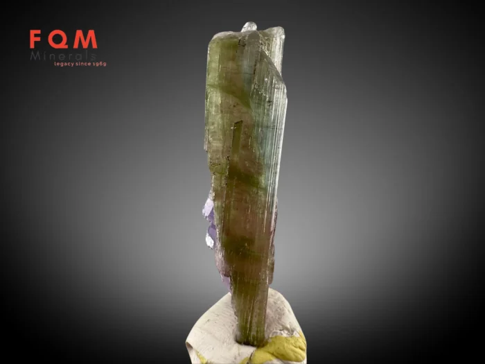 Rare Purple Apatite with Bi-Colour Tourmaline – Afghanistan - Image 2