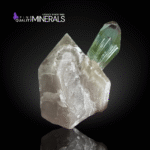 Rare V-Shape Bi-Color Tourmaline on Quartz | Paprok, Afghanistan | Fine Mineral Specimen