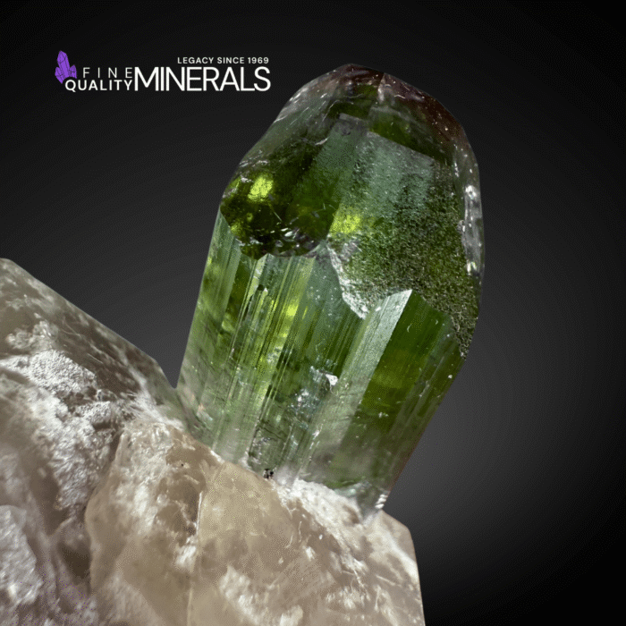 Rare V-Shape Bi-Color Tourmaline on Quartz | Paprok, Afghanistan | Fine Mineral Specimen