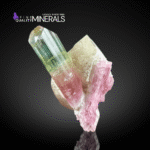 Rare V-Shape Bi-Color Tourmaline on Quartz | Paprok, Afghanistan | Fine Mineral Specimen