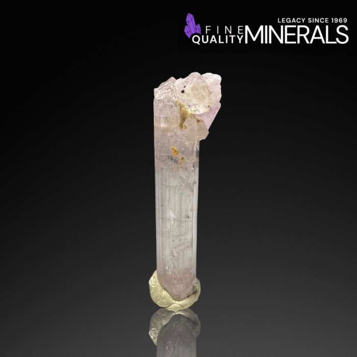 Unusual Pink Kunzite with Microlite & Quartz – Mawi Pegmatites, Nuristan | Fine Mineral Specimen - Image 4