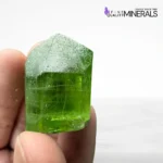 Supat Valley Peridot Crystal