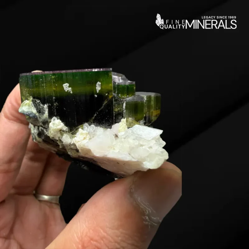 Tourmaline cluster with Smoky Quartz