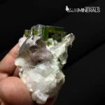 Pristine Tourmaline Cluster with Smoky Quartz & Pink Muscovite - Image 2