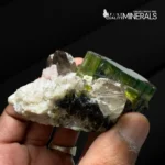 Pristine Tourmaline Cluster with Smoky Quartz & Pink Muscovite - Image 3