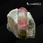 Tourmaline with Smoky Quartz Combined Specimen - Paprok - Image 3