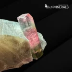 Tourmaline with Smoky Quartz Combined Specimen - Paprok - Image 4