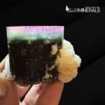 Watermelon Tourmaline specimen