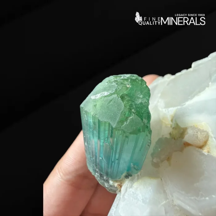 bicolor Tourmaline crystal